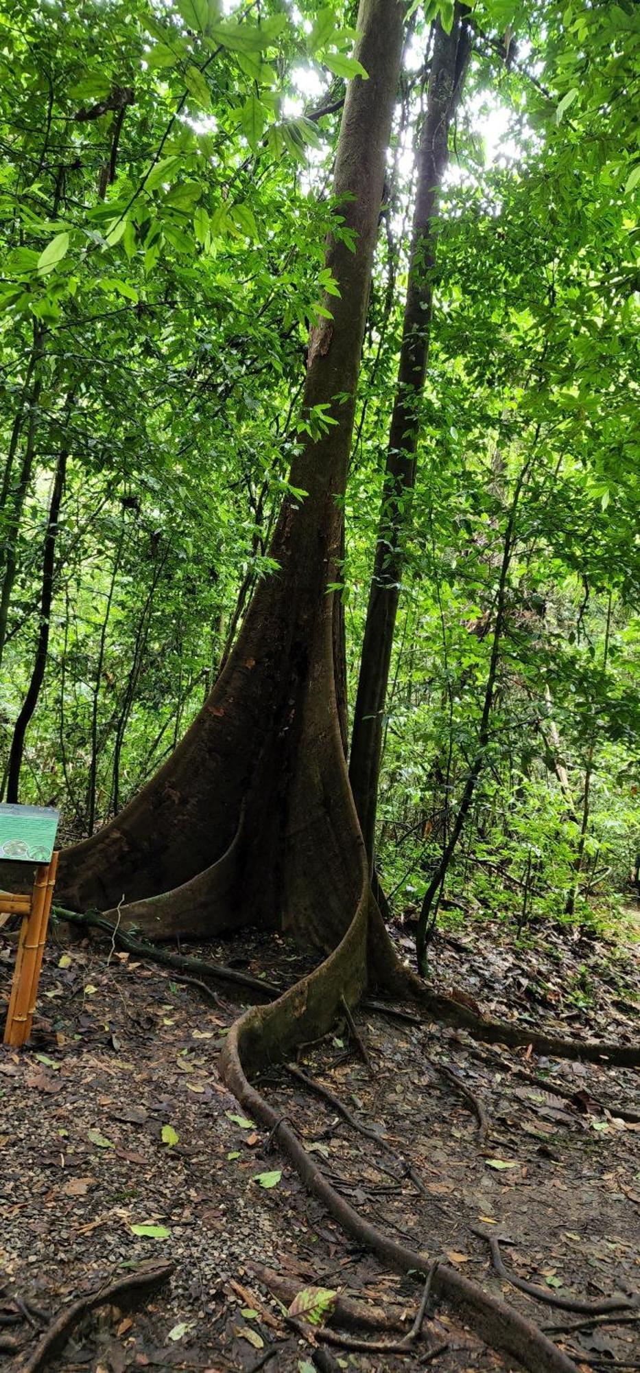 Khaosok Happy House Bed & Breakfast Khao Sok National Park ภายนอก รูปภาพ