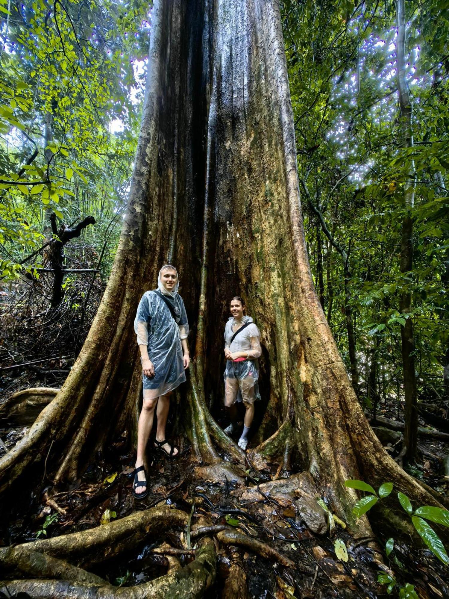 Khaosok Happy House Bed & Breakfast Khao Sok National Park ภายนอก รูปภาพ