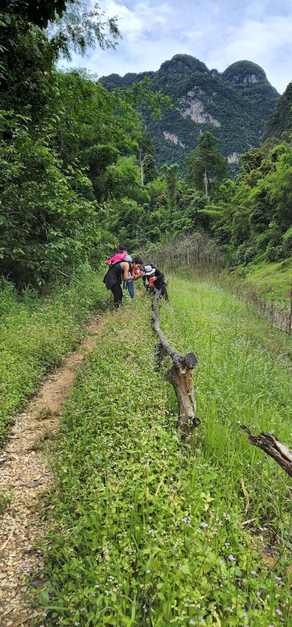 Khaosok Happy House Bed & Breakfast Khao Sok National Park ภายนอก รูปภาพ